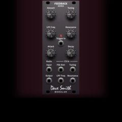 Dave Smith Instruments Premiers DSM03 Feedback Eurorack Module