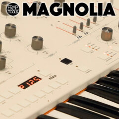 Frap Tools Announce Magnolia Keyboard Synthesizer