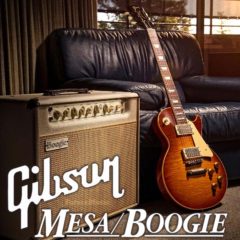Gibson Buys Mesa/Boogie