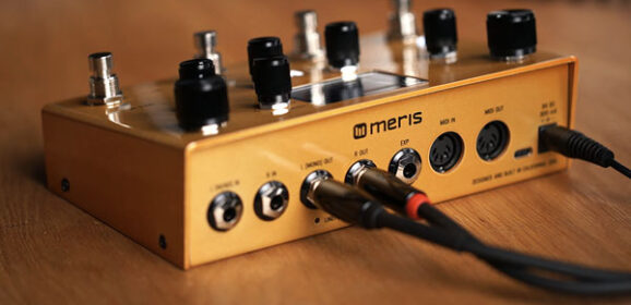 Meris Enzo X Evaluacion