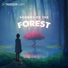Producer Loops Debuts Sounds Of The Forest Sample Set