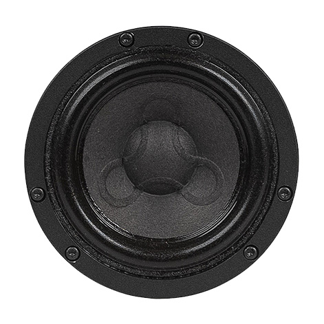 Telegrapher Gorilla S Review Mid-range speaker