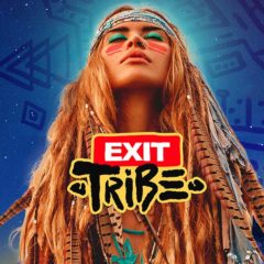 Exit Festival 2019 Ramps Up